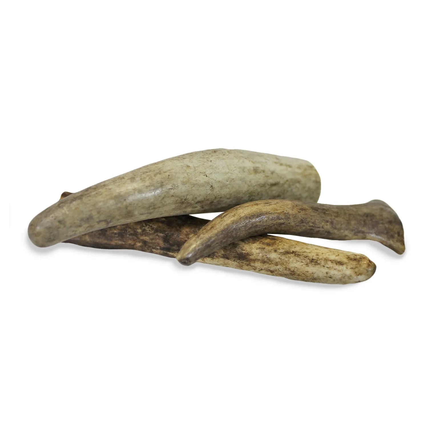 Antler Chews