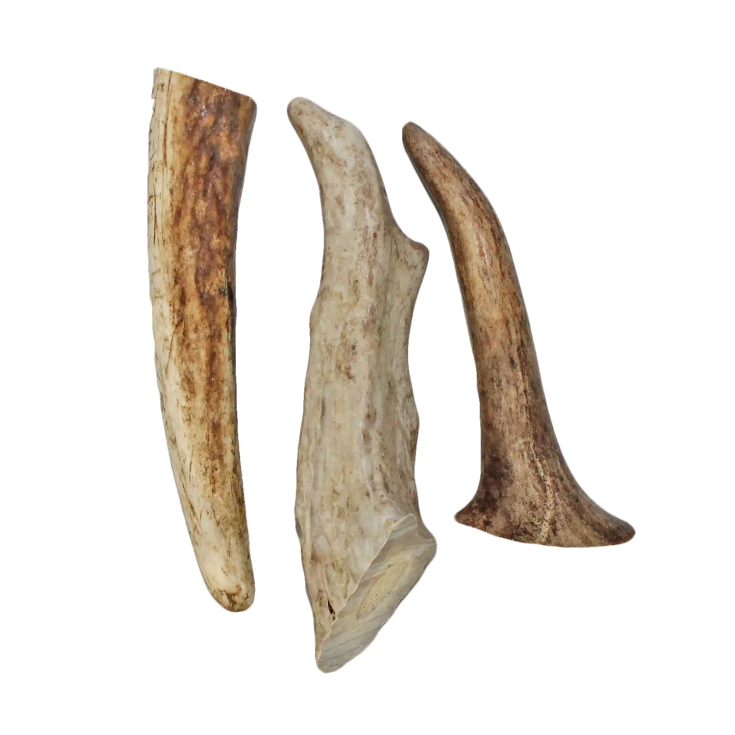 Antler Chews