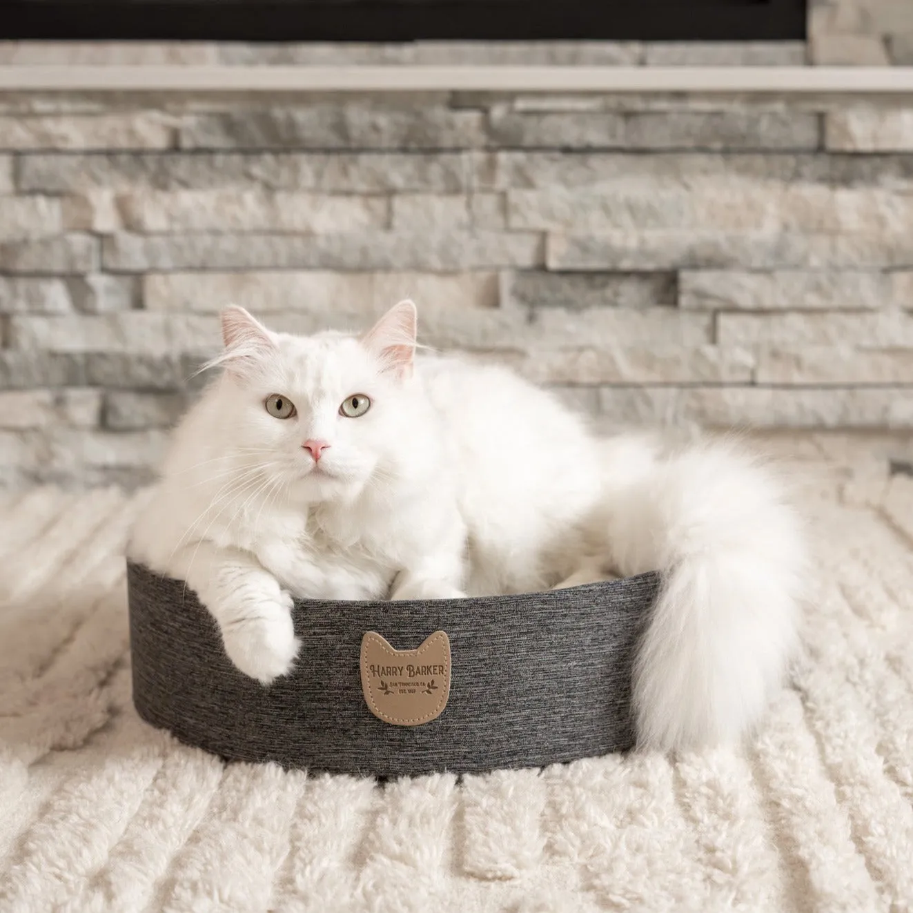 Cat Scratcher Bowl - Refillable