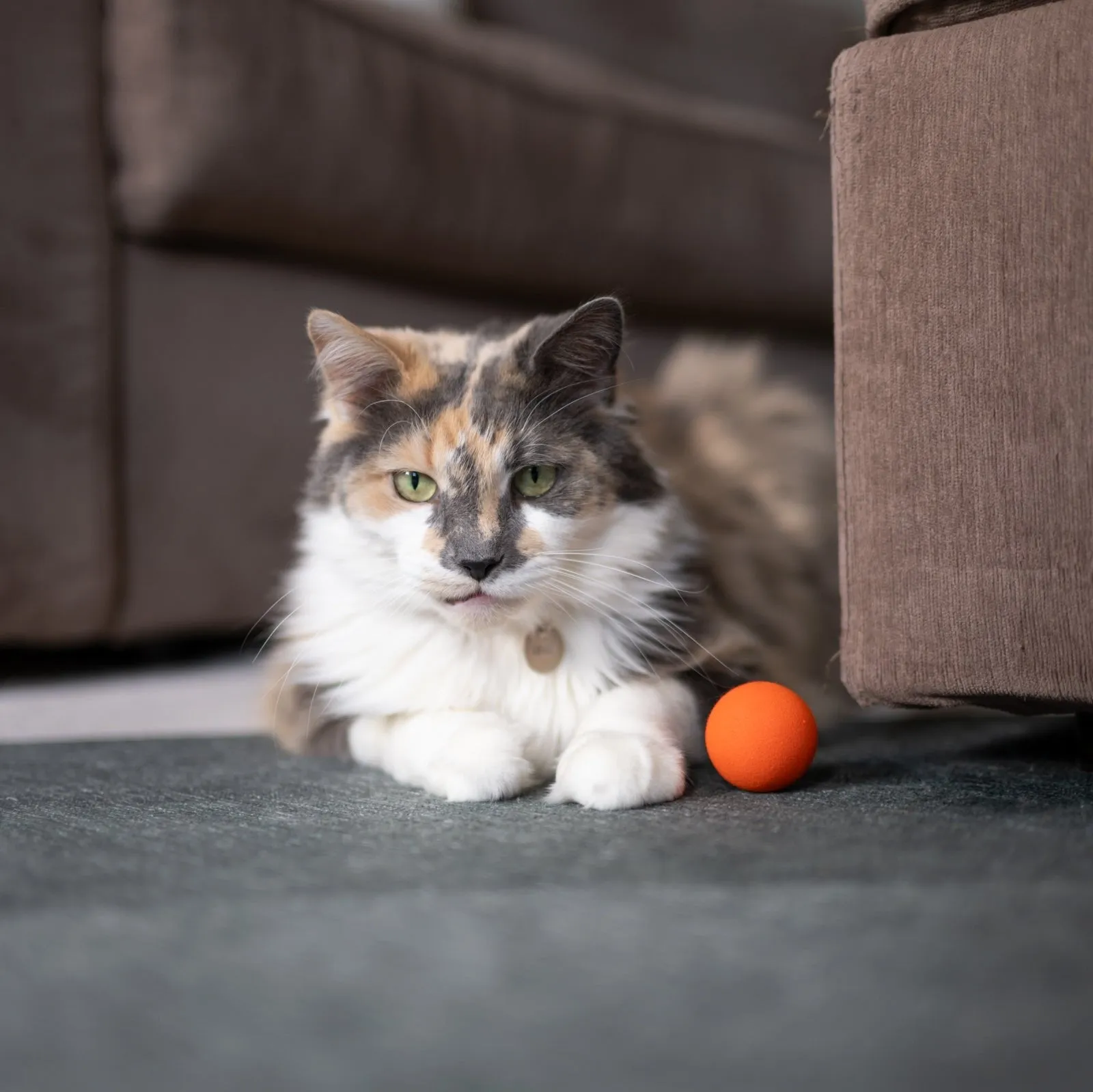 Foam Ball Cat Toy