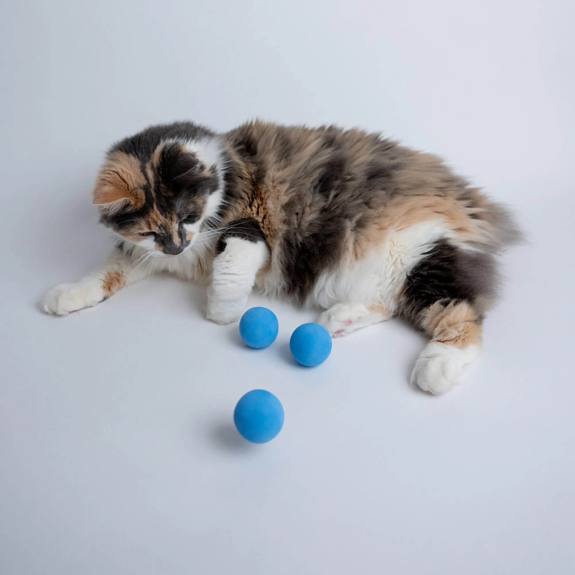 Foam Ball Cat Toy