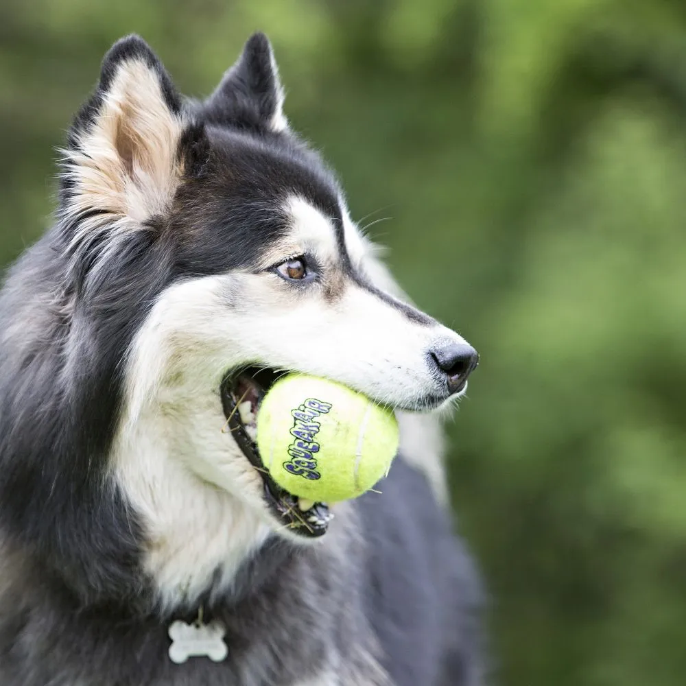 KONG® SqueakAir® Ball with Rope