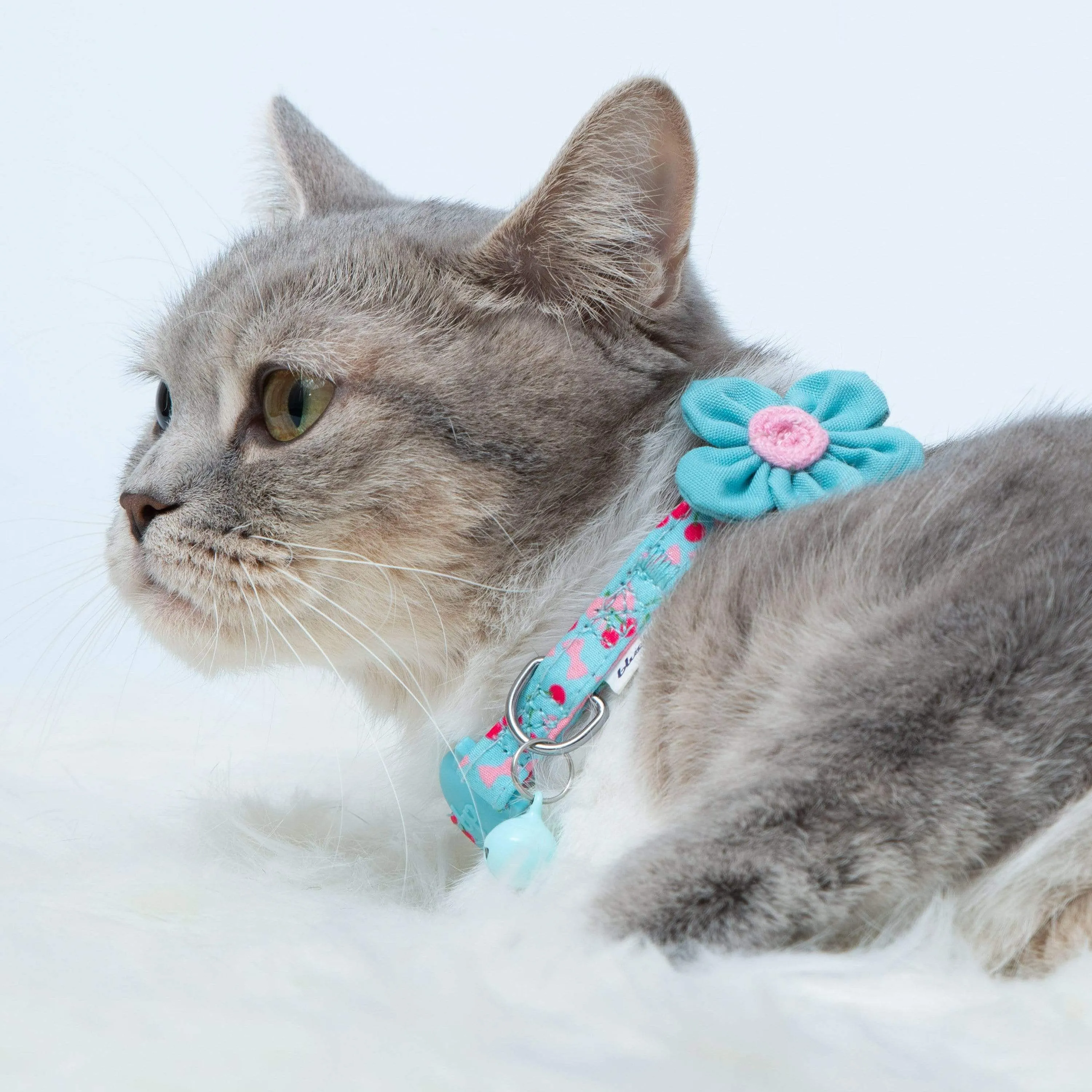 Lovely Cherry & Floral Cat Collar, 2 Pack