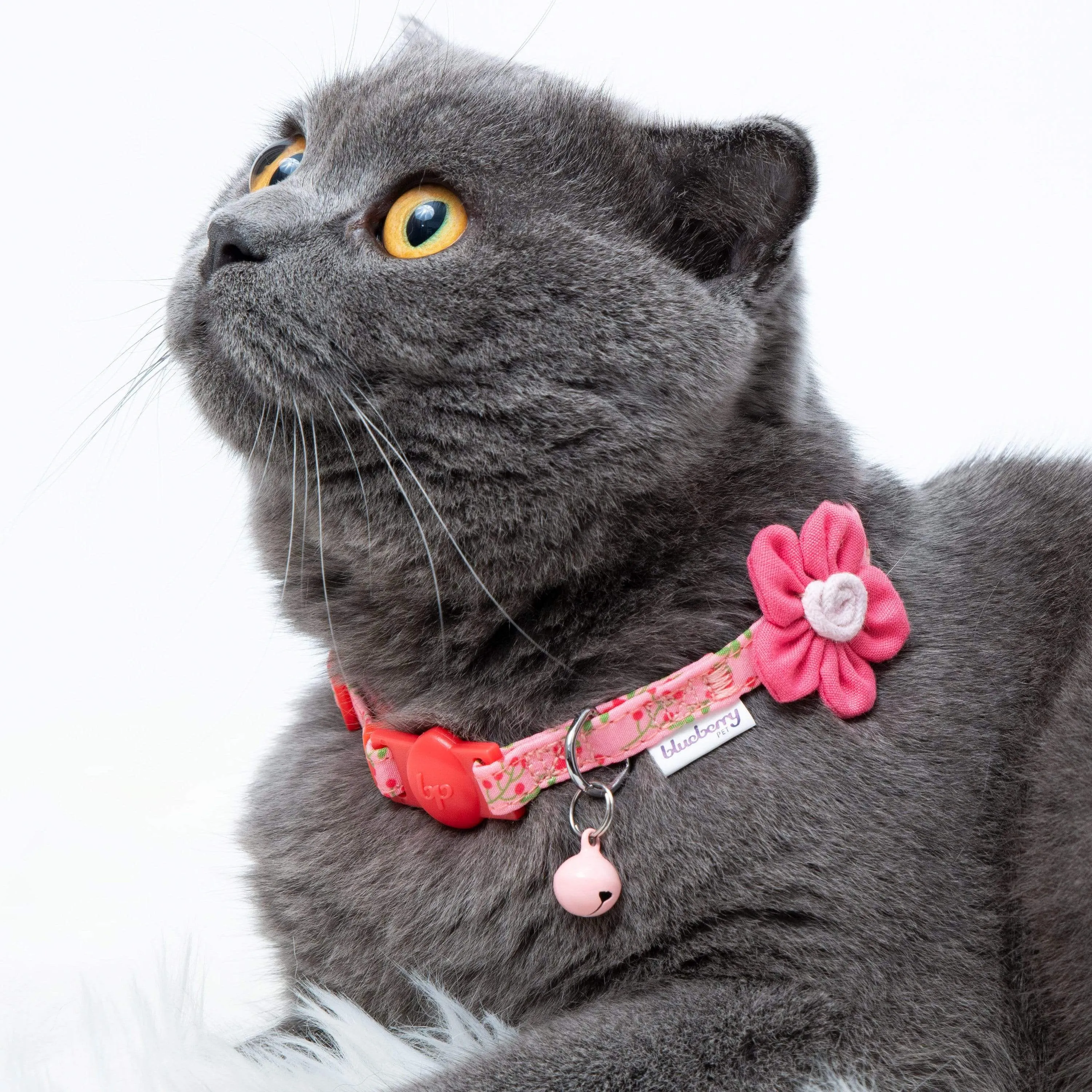 Lovely Cherry & Floral Cat Collar, 2 Pack