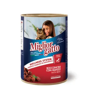 Miglior gatto Cat  with Beef,405g