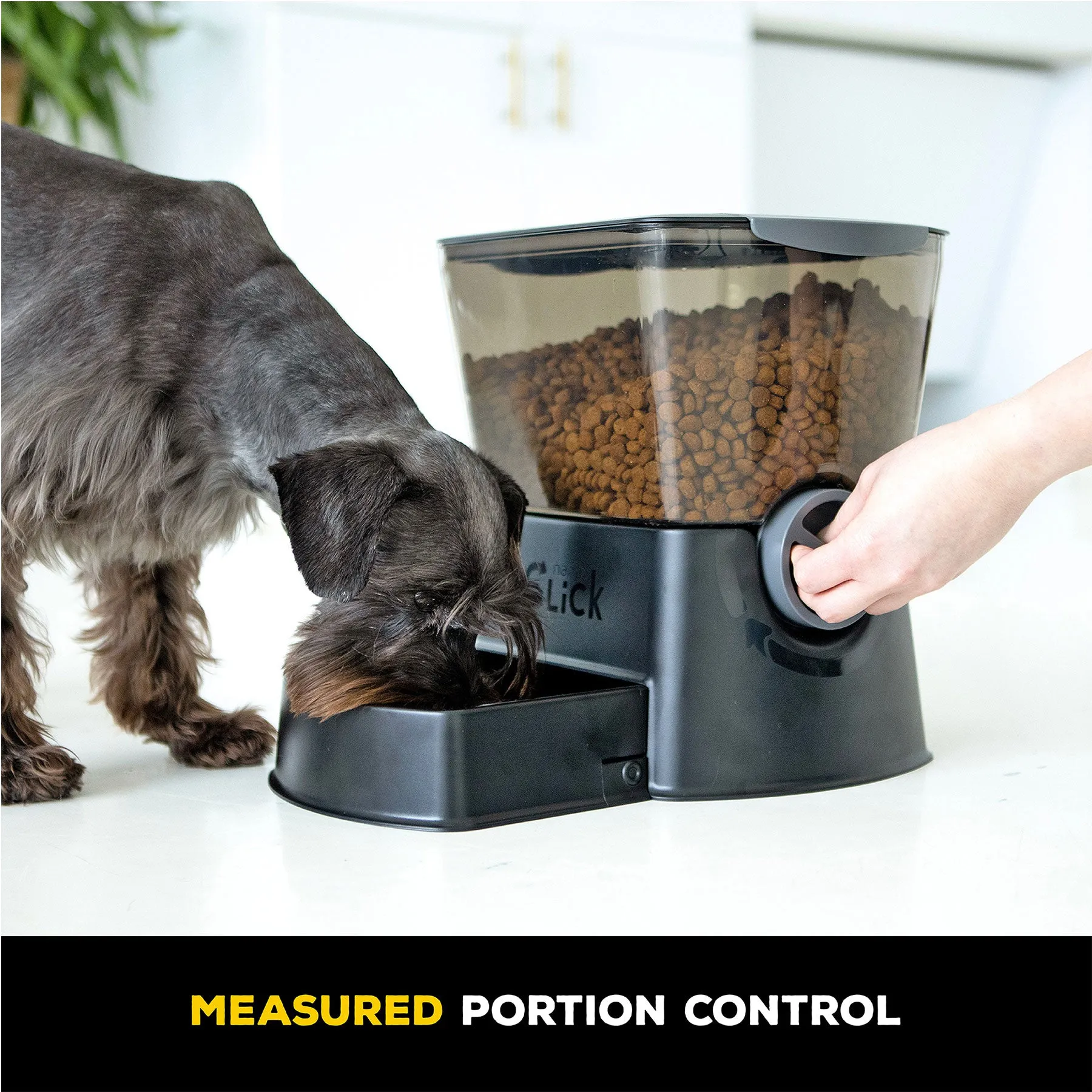 Nano Click Manual Pet Feeder