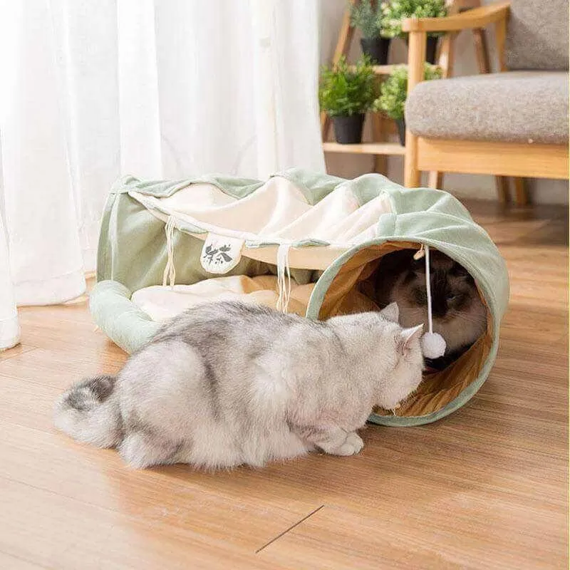 Zoom-Cat! Interactive Tunnel Bed